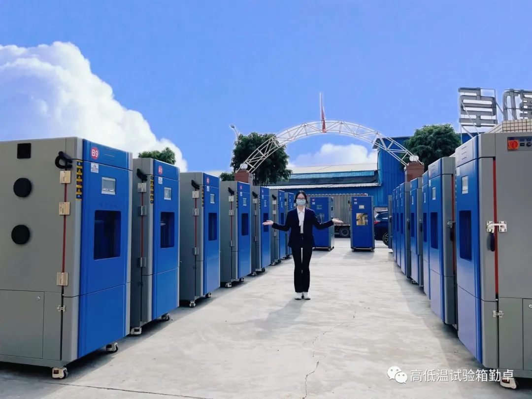 �ߵ���ʪ��������