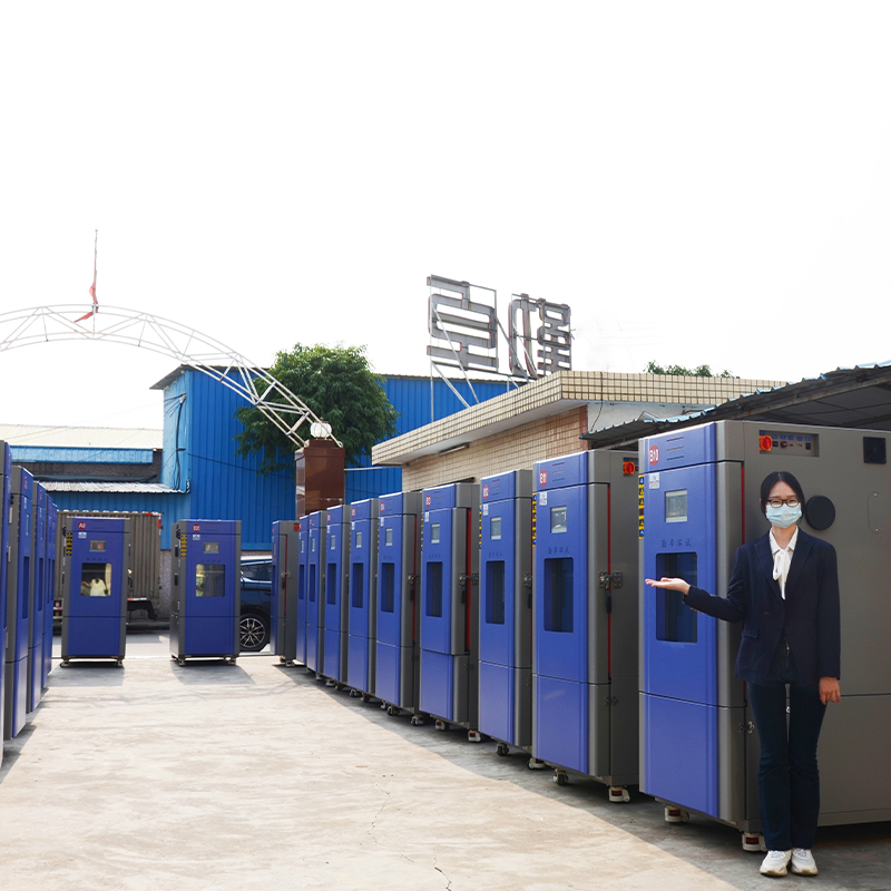 �ߵ���������