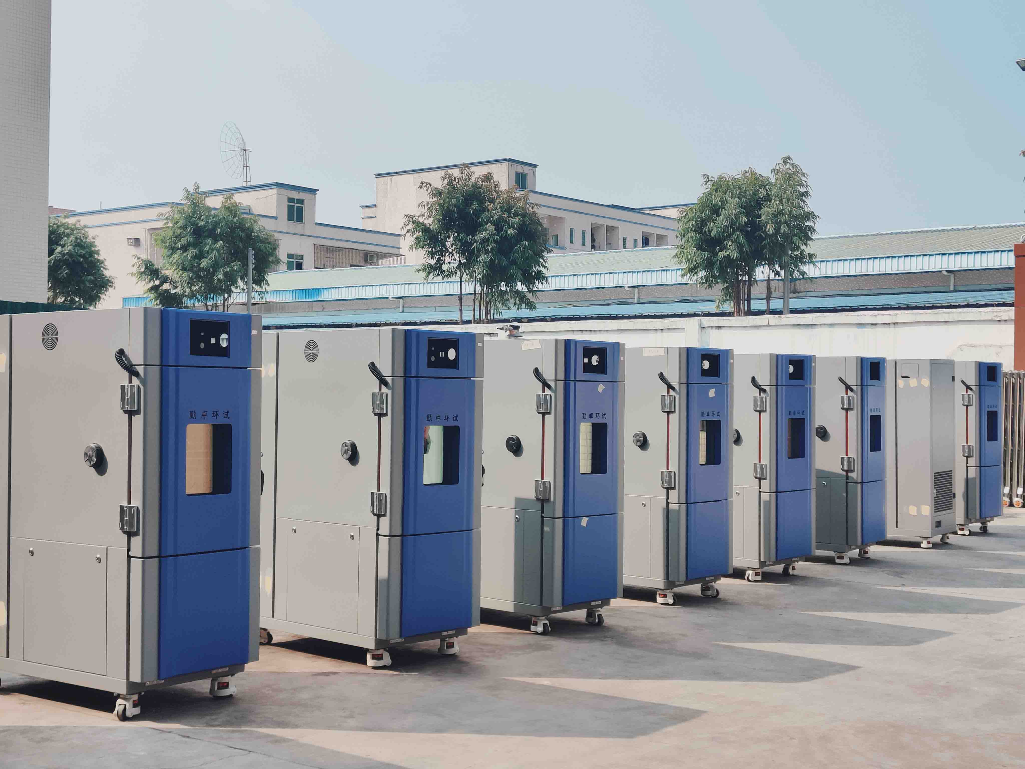 �ߵ���ʪ��������